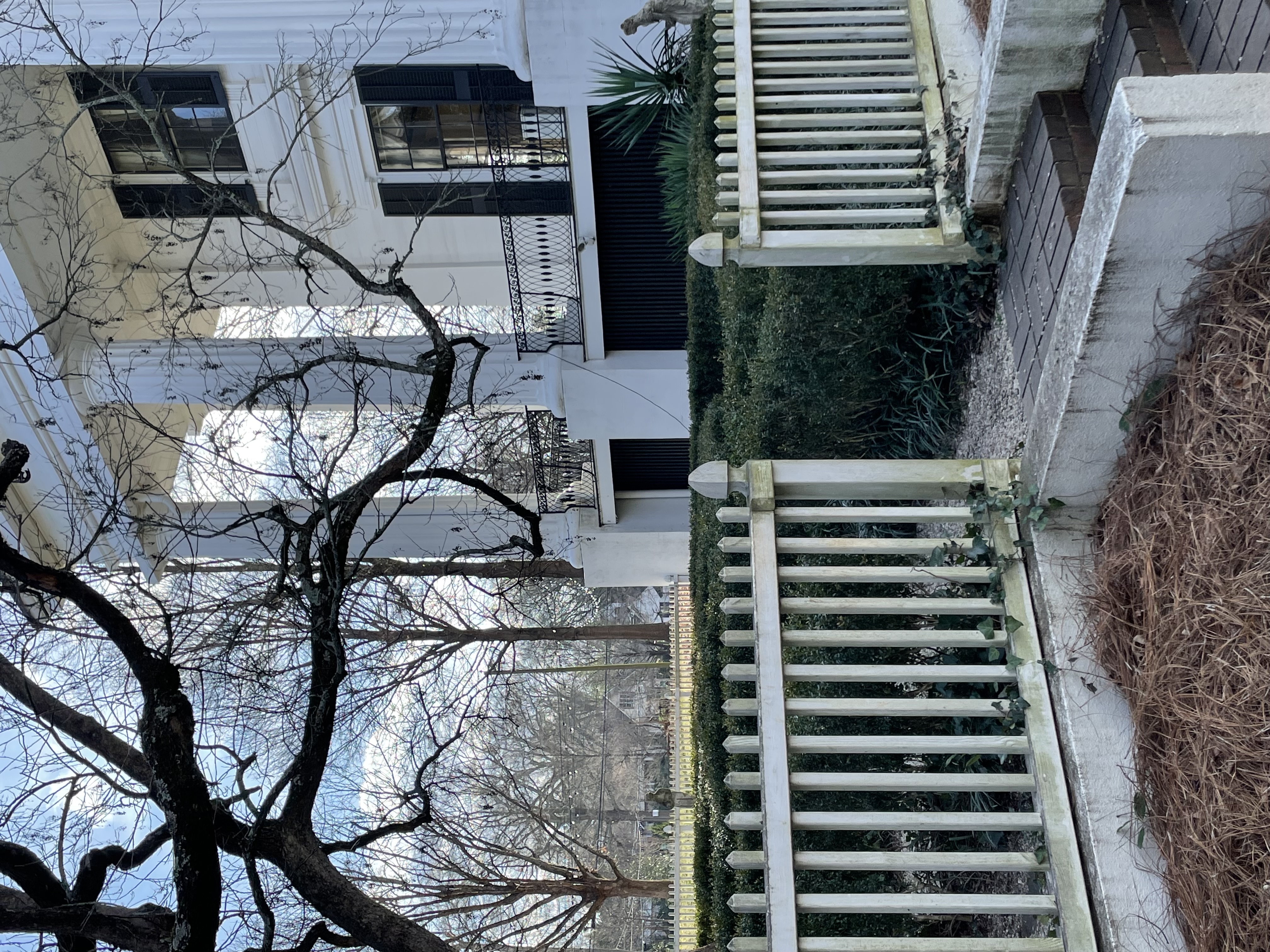 White picket fence and boxwood hedge framing a side view of Taylor-Grady House columns through winter branches